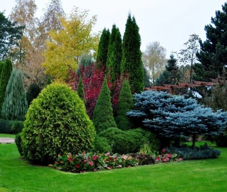 Professional landscaping team at work