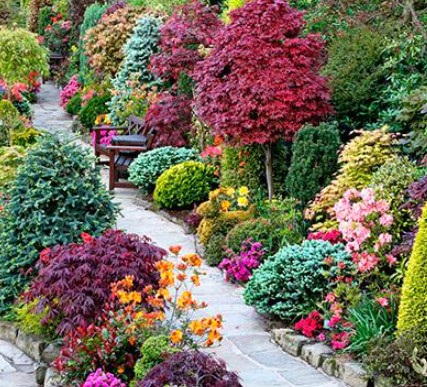 Beautiful finished landscape project