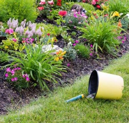 Garden maintenance service